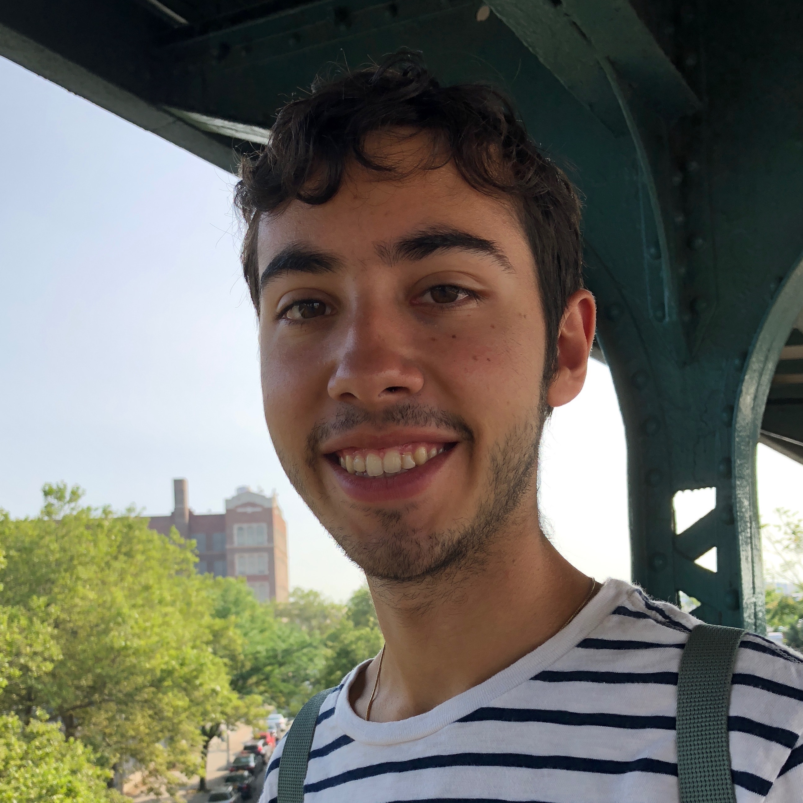 Max Bibicoff